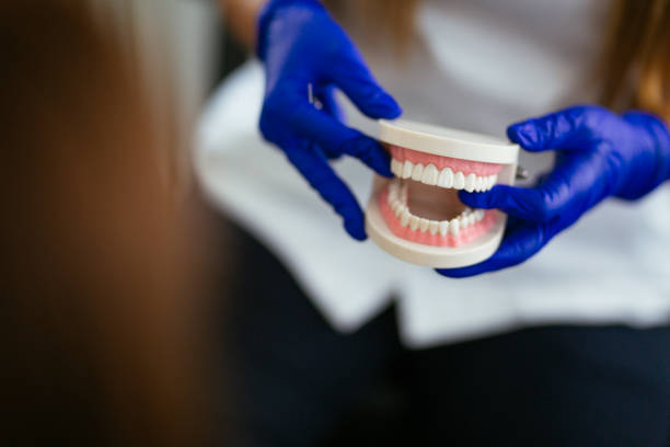  Mauston, WI Holistic Dental Services Pros